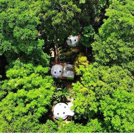 Отель Faith Glamping Dome Costa Rica Мансанильо Экстерьер фото