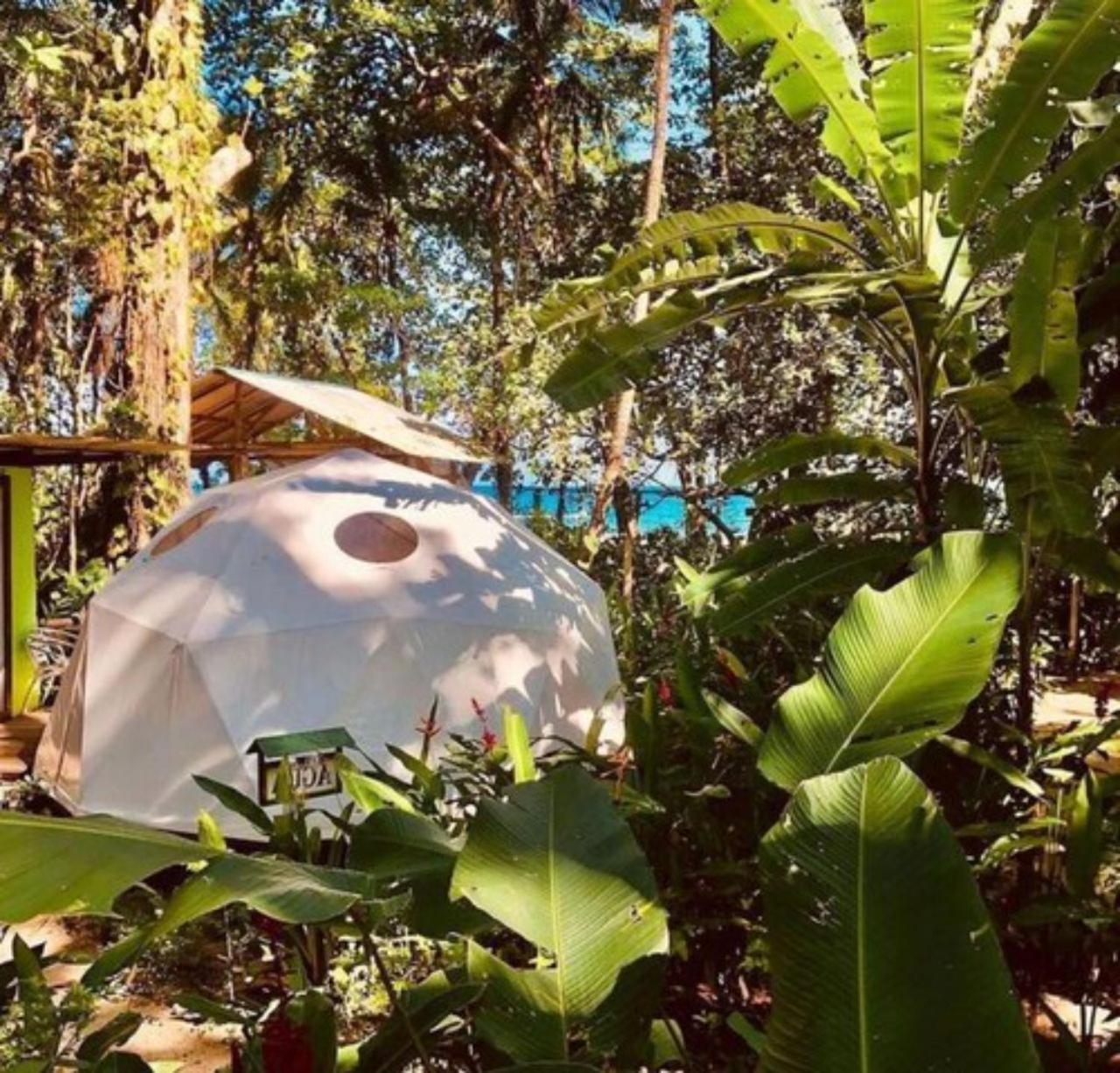Отель Faith Glamping Dome Costa Rica Мансанильо Экстерьер фото