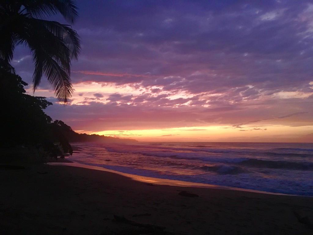 Отель Faith Glamping Dome Costa Rica Мансанильо Экстерьер фото