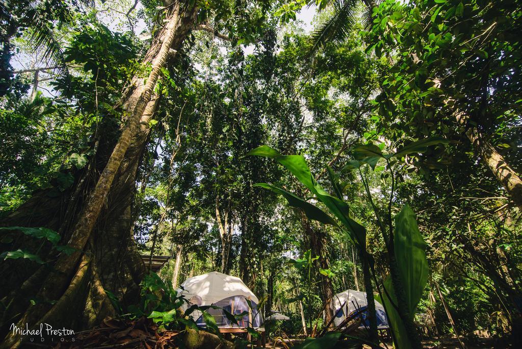Отель Faith Glamping Dome Costa Rica Мансанильо Экстерьер фото